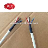 S/B/R Type 2 Wire MI Thermocouple Cable